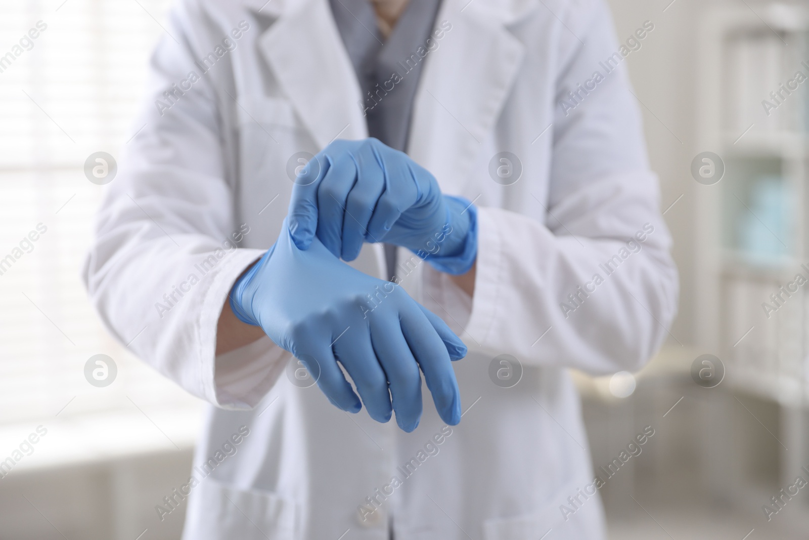 Photo of Doctor putting on medical gloves in hospital, closeup