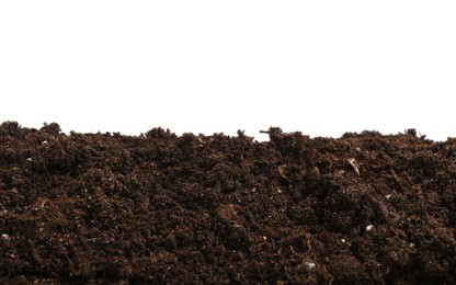 Photo of Fresh soil isolated on white. Gardening season