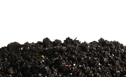 Photo of Pile of fresh soil isolated on white