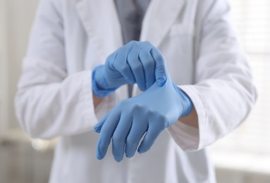 Doctor putting on medical gloves in hospital, closeup