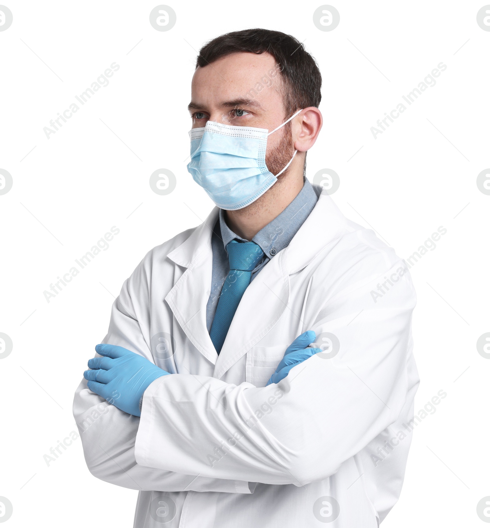 Photo of Portrait of professional dentist on white background