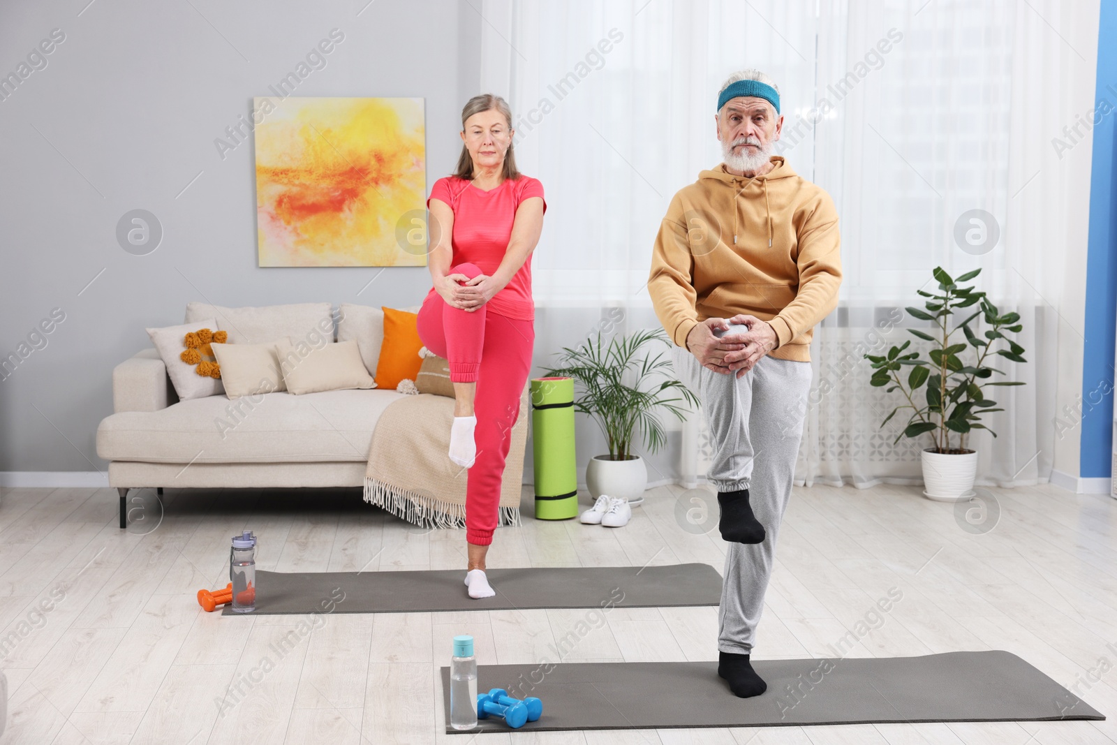 Photo of Elderly couple exercising at home. Healthy leisure