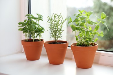 Photo of Different aromatic herbs in pots on window sill