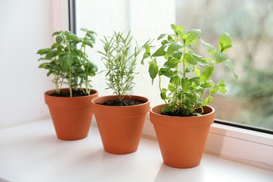 Photo of Different aromatic herbs in pots on window sill