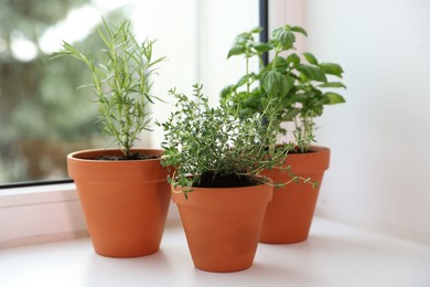 Photo of Different aromatic herbs in pots on window sill