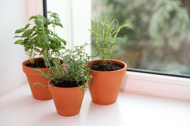 Photo of Different aromatic herbs in pots on window sill