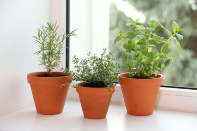 Photo of Different aromatic herbs in pots on window sill