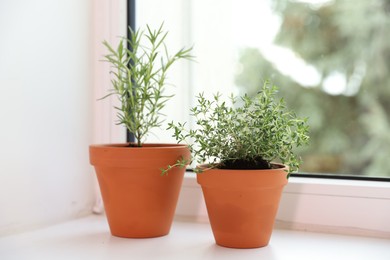 Photo of Aromatic herbs in pots on window sill