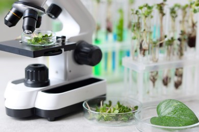 Photo of Biochemistry. Glassware with different plants and microscope on light grey table in laboratory, closeup