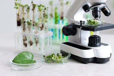 Photo of Biochemistry. Glassware with different plants and microscope on light grey table in laboratory, closeup