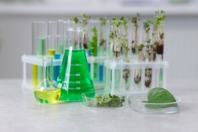 Photo of Biochemistry. Glassware with different liquids and plants on light grey table in laboratory