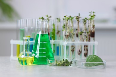 Photo of Biochemistry. Glassware with different liquids and plants on light grey table in laboratory