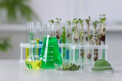 Photo of Biochemistry. Glassware with different liquids and plants on light grey table in laboratory