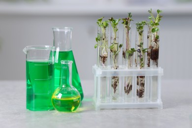 Photo of Biochemistry. Glassware with different liquids and plants on light grey table in laboratory