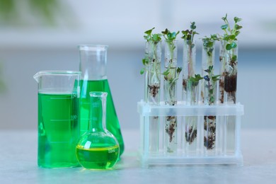 Photo of Biochemistry. Glassware with different liquids and plants on light grey table in laboratory