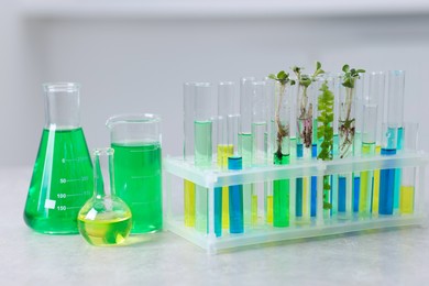 Photo of Biochemistry. Glassware with different liquids and plants on light grey table in laboratory, closeup