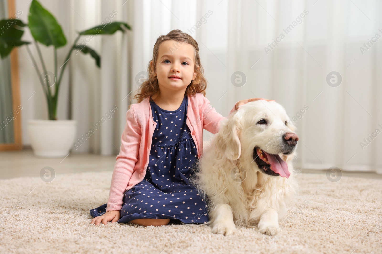 Photo of Little girl with cute dog on carpet at home