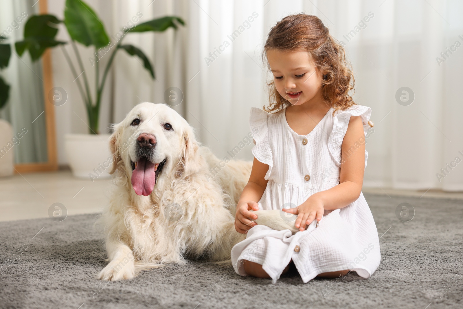 Photo of Little girl with cute dog on carpet at home