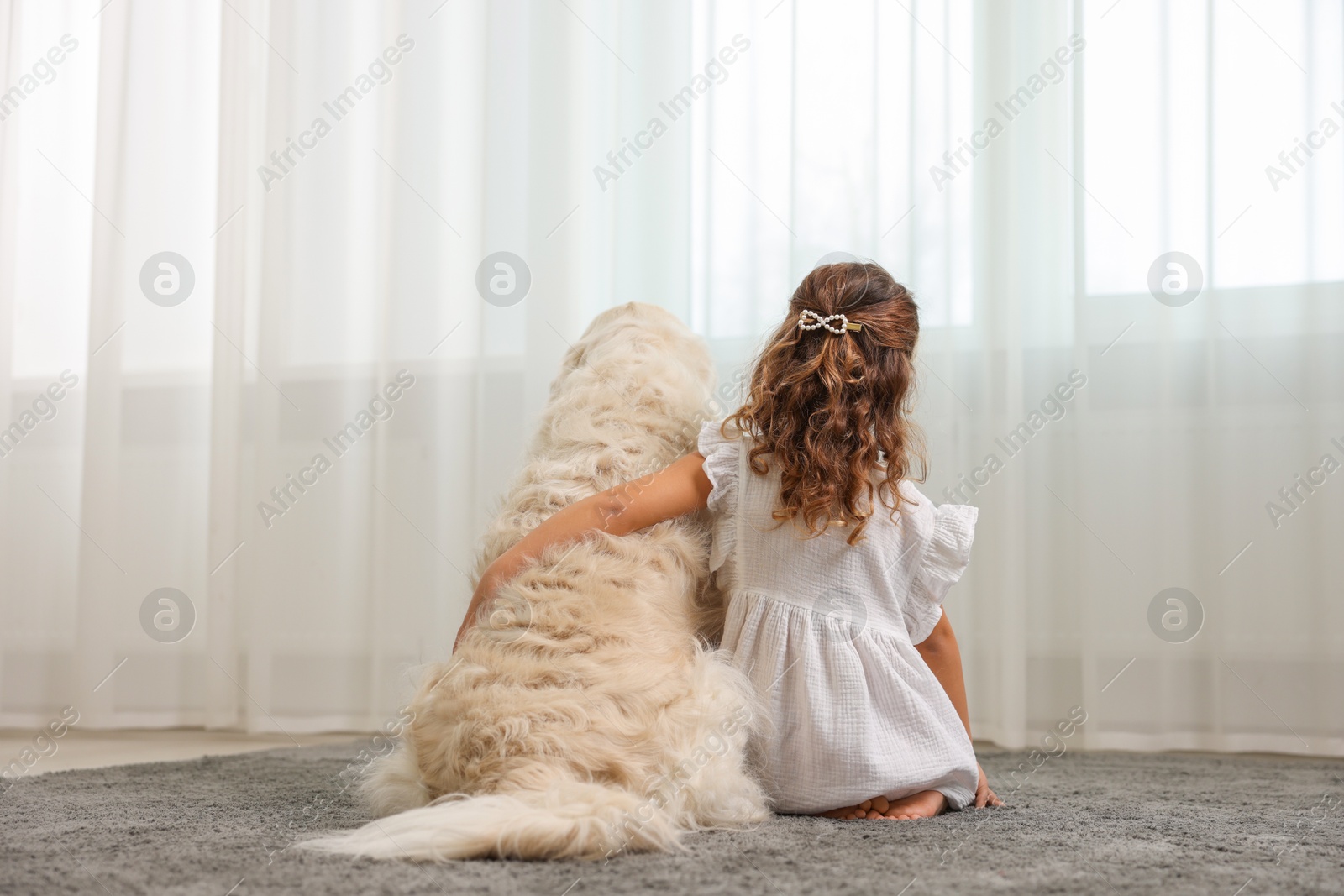 Photo of Little girl with cute dog on carpet at home, back view