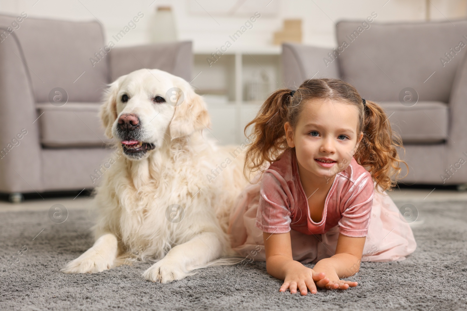 Photo of Little girl with cute dog on carpet at home