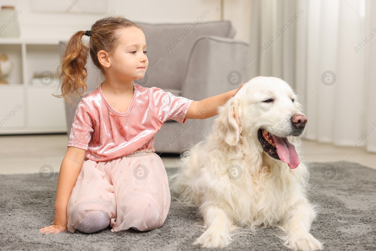 Photo of Little girl with cute dog on carpet at home