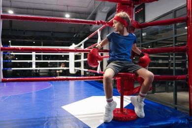 Photo of Girl sitting in her corner of boxing ring. Space for text