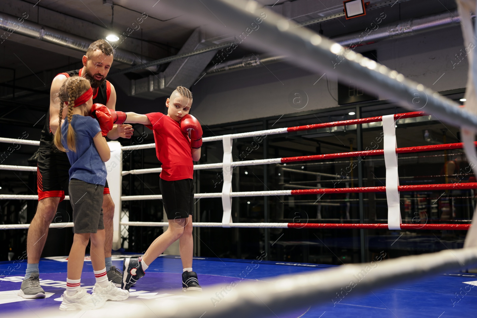 Photo of Children practicing fight on boxing ring under their coach supervision. Space for text