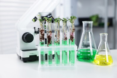 Photo of Biochemistry. Microscope, glassware with liquids and plants on white table in laboratory