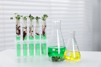 Photo of Biochemistry. Glassware with liquids and plants on white table in laboratory