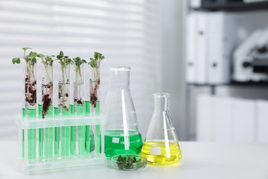 Photo of Biochemistry. Glassware with liquids and plants on white table in laboratory, space for text