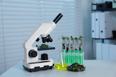 Photo of Biochemistry. Microscope, glassware with liquids and plants on white table in laboratory