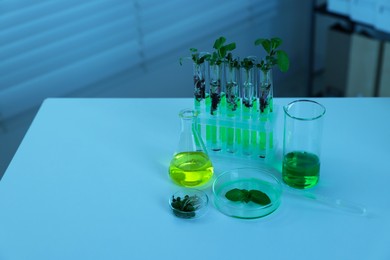 Photo of Biochemistry. Glassware with liquids and plants on white table in laboratory, space for text