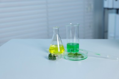 Photo of Biochemistry. Glassware with liquids and plants on white table in laboratory, space for text