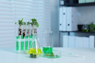 Photo of Biochemistry. Glassware with liquids and plants on white table in laboratory, space for text