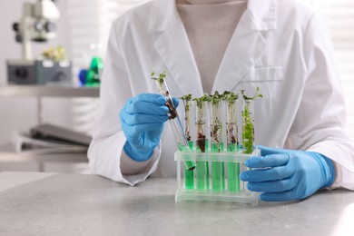 Photo of Biochemistry. Scientist working with plants and liquids at grey table in laboratory, closeup