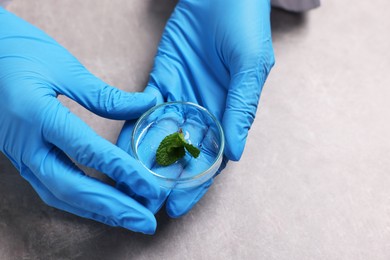 Photo of Biochemistry. Scientist working with plant at grey table, closeup