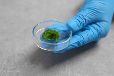 Photo of Biochemistry. Scientist working with plant at grey table, closeup