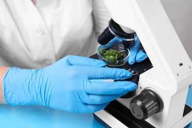 Photo of Biochemistry. Scientist looking at plants with microscope in laboratory, closeup