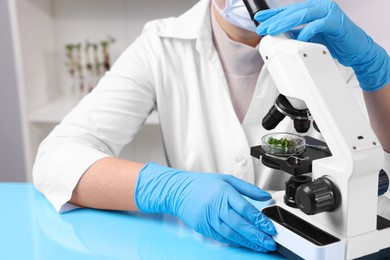 Photo of Biochemistry. Scientist looking at plants with microscope in laboratory, closeup