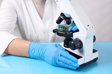 Photo of Biochemistry. Scientist looking at plants with microscope in laboratory, closeup