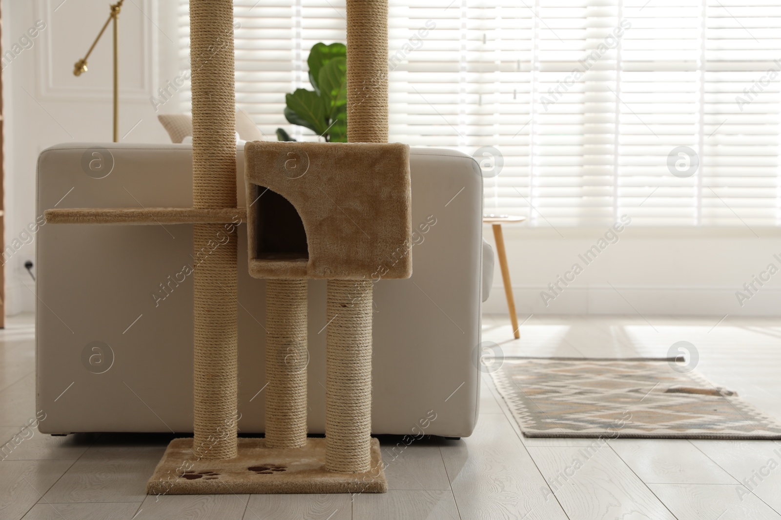 Big comfortable cat tree with scratching poles indoors Photo of Big comfortable cat tree with scratching poles indoors