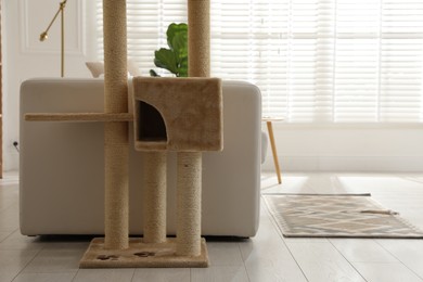Photo of Big comfortable cat tree with scratching poles indoors