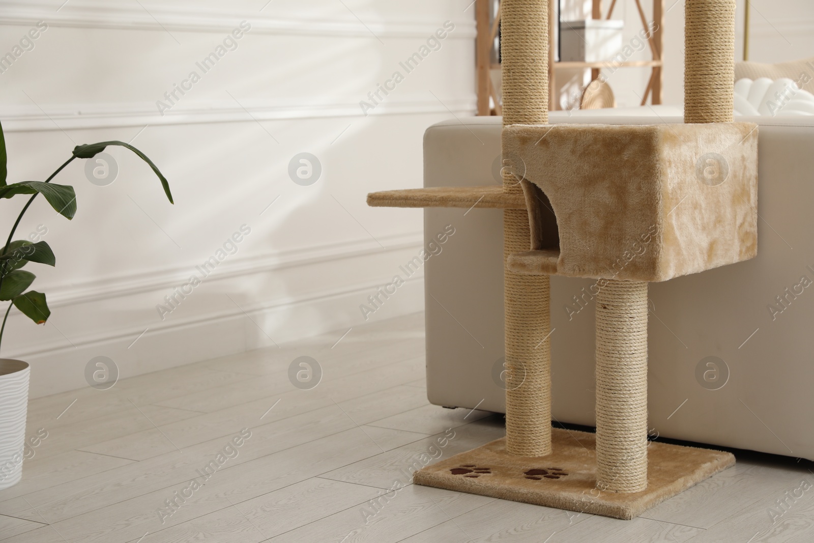 Big comfortable cat tree with scratching poles indoors. Space for text Photo of Big comfortable cat tree with scratching poles indoors. Space for text