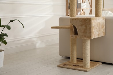 Photo of Big comfortable cat tree with scratching poles indoors. Space for text