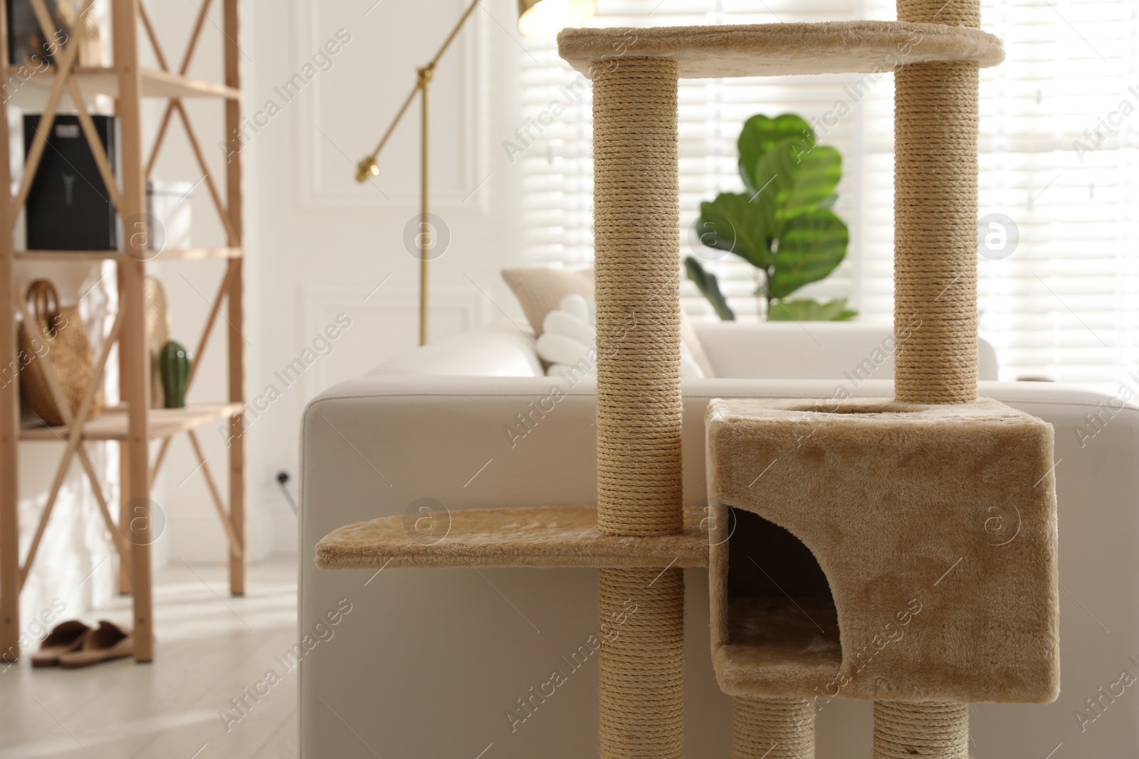 Big comfortable cat tree with scratching poles indoors Photo of Big comfortable cat tree with scratching poles indoors