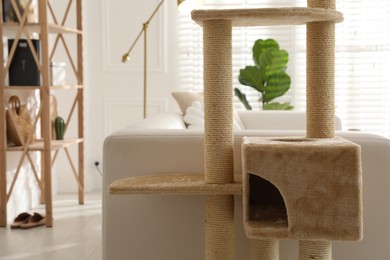 Photo of Big comfortable cat tree with scratching poles indoors