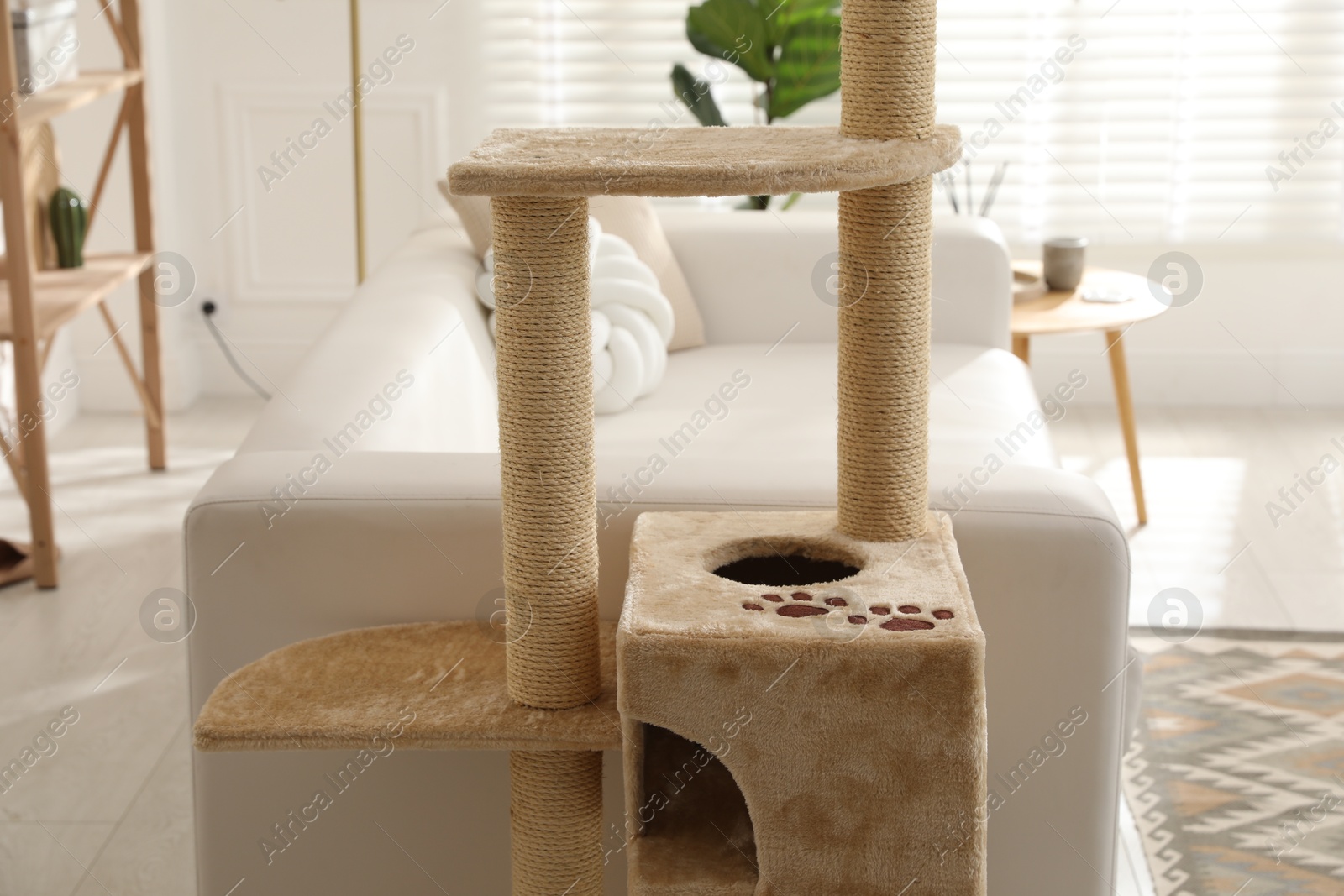 Big comfortable cat tree with scratching poles indoors Photo of Big comfortable cat tree with scratching poles indoors