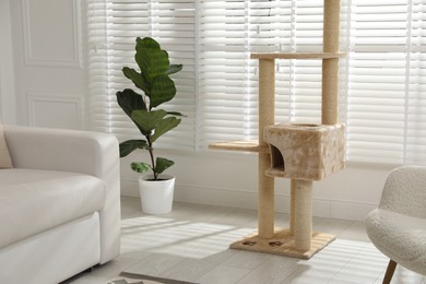 Photo of Big comfortable cat tree with scratching poles indoors