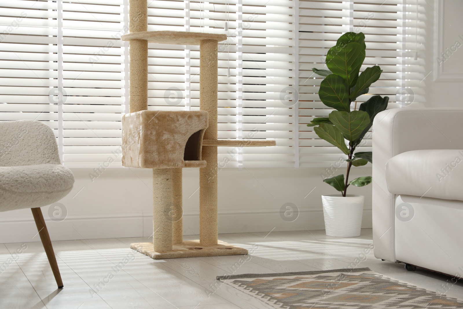 Big comfortable cat tree with scratching poles indoors Photo of Big comfortable cat tree with scratching poles indoors