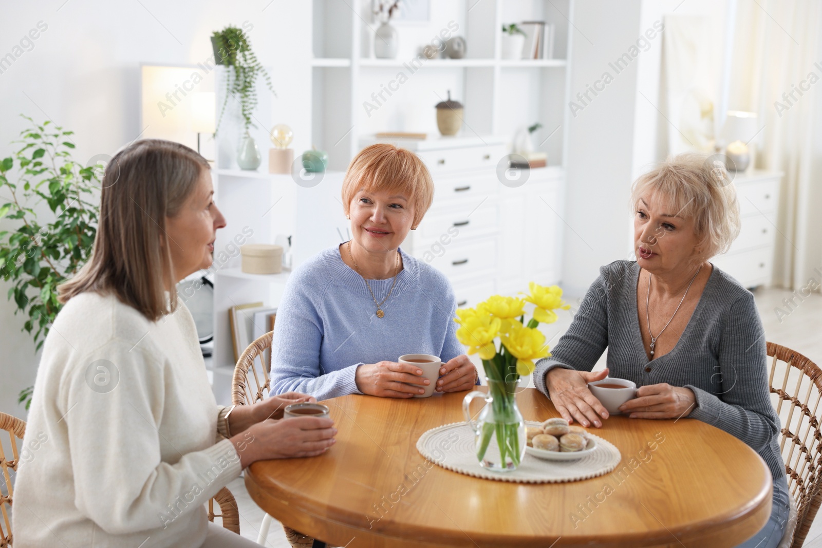 Photo of Friendship. Senior women enjoying hot drinks at table indoors